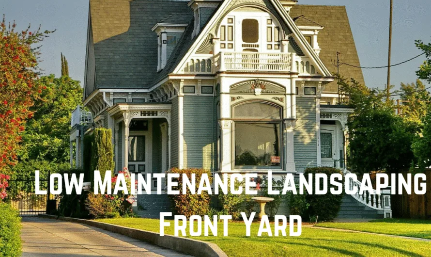 Low Maintenance Landscaping Front Yard: Easy Beauty, No Sweat